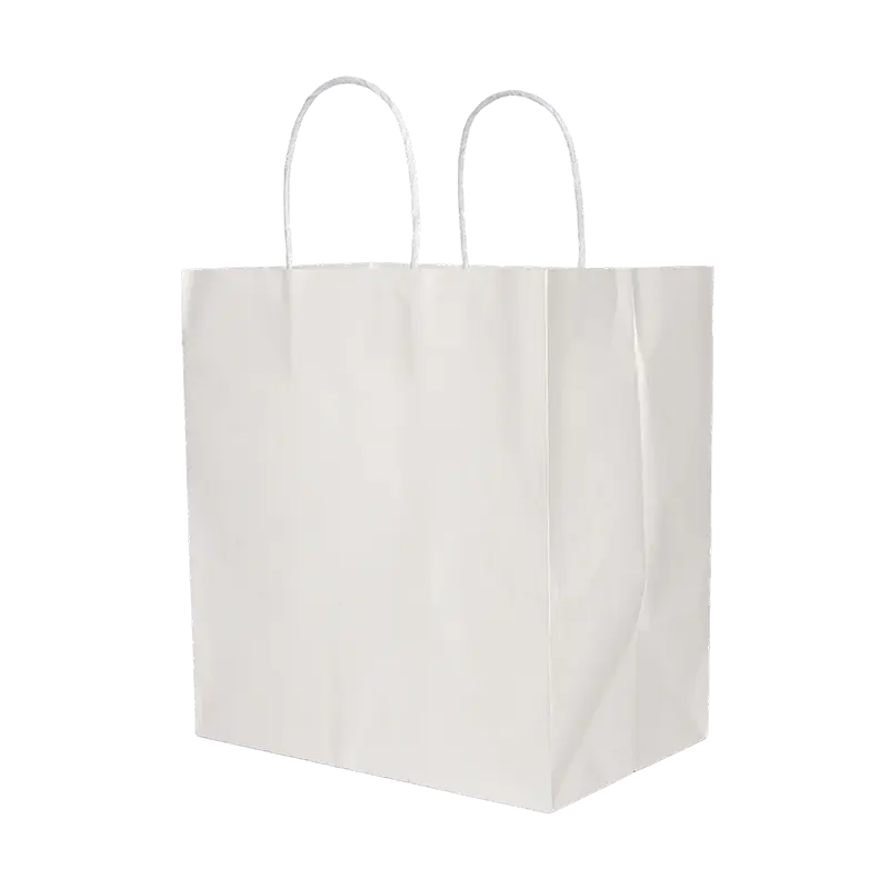 Eco-Friendly Paper Gift Bag Suppliers: Top 6 Picks for 2026