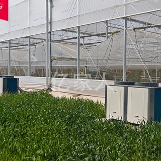 China's Blueberry Greenhouse Heat Pump Supplier Cuts Costs