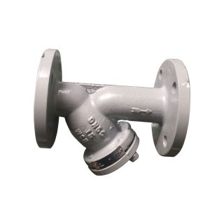 Y-type Gas Filter Flange Strainer Filter in Factory